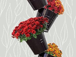 Close up of pots filled with red and orange flowers