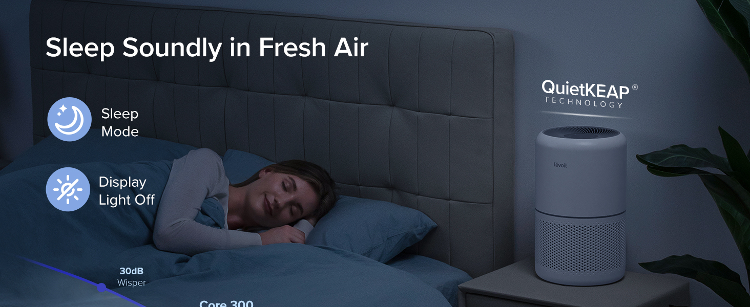 levoit core 300 6