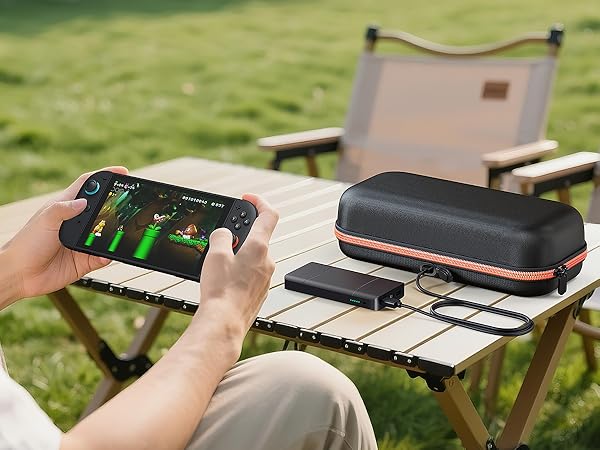 switch 2 carrying case