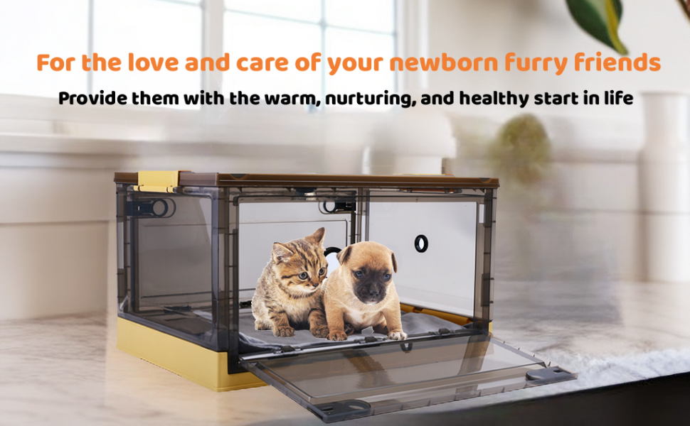 Incubator for Puppies, Kitten Incubator, Puppy Incubator