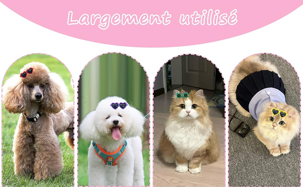 DHER 10 Pieces Pet Hair Clips Pet Clips Small Pet Hair Clips for Dogs Pet Hair Clips Small Clips for Animal Hair Super Cute Dog Headdress (A) 20 Pinzas para el pelo Perros Mascotas Accesorios pinzas para pelo de mascotas