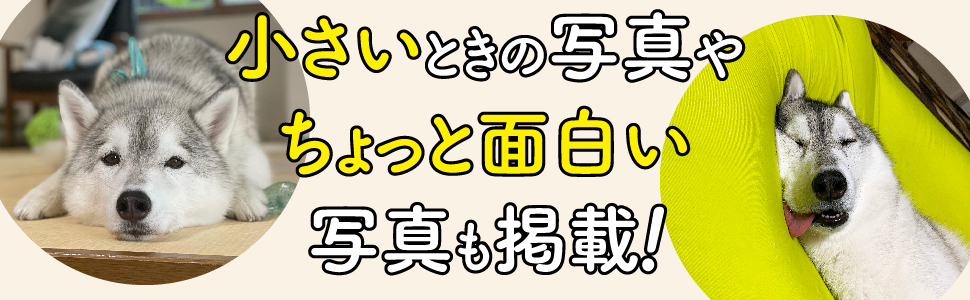 まるで親子のような犬と猫 今日も仲良し! ユキちゃん レンちゃん