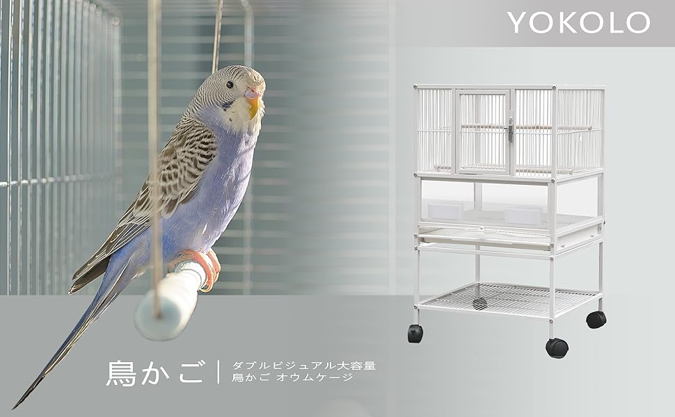 Amazon | Yokolo 鳥かご 鳥ケージ 中小型インコ用 鍛鉄製 大きい