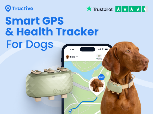 その他 Tractive GPS & Health Tracker for Dogs Tractive Dog GPS Tracker, Waterproof Location and Activity