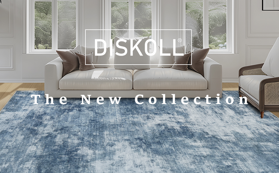 Diskoll Area Rug 2x3 Entryway Rug, Washable Indoor Door Mat