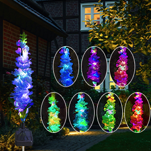 solar flowers