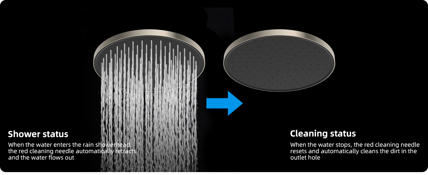 10'' Selfcleaning Rainfall Shower Head, High Pressure Handheld Shower