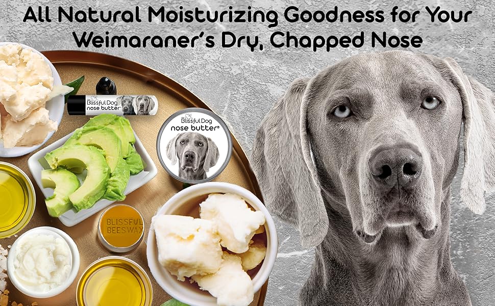Amazon Com The Blissful Manteca Hidratante Para Combatir Nariz Seca En Perros Weimaraner Not Applicable Productos Para Animales