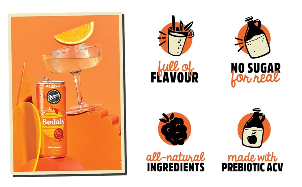 Remedy Sodaly All Natural No Sugar Soft Drink Orange 24x250ml