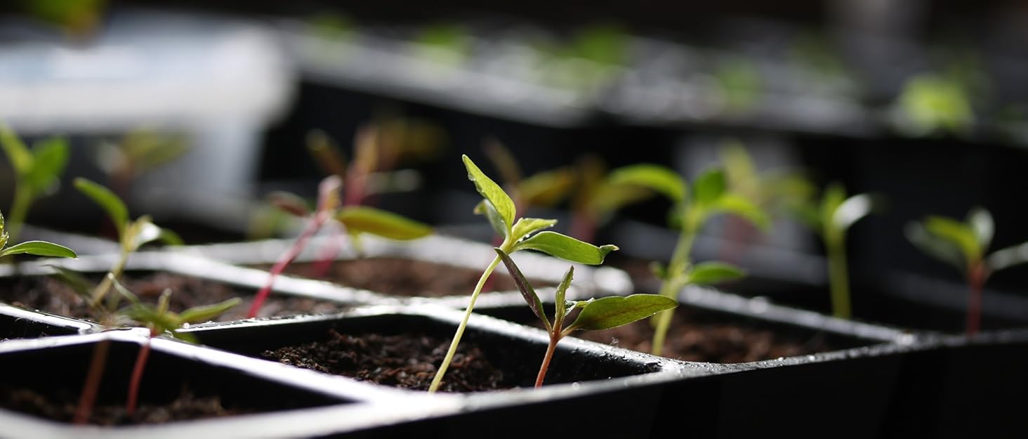 YOHIA Seed Starter Kit with Grow Light,40 Cells Seed Starter Tray with Humidity