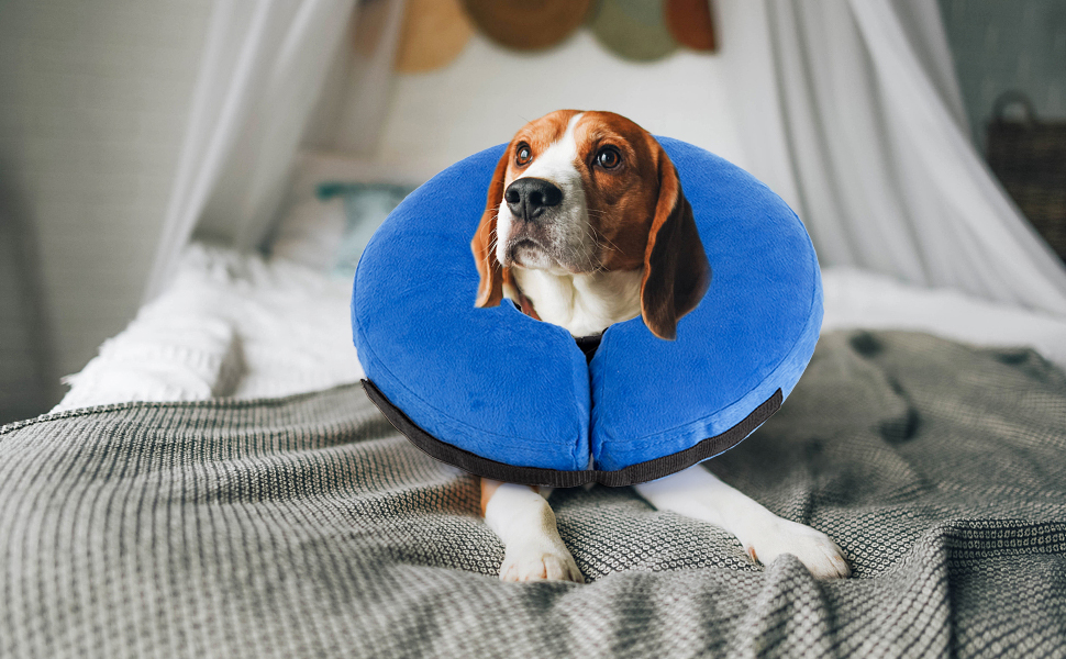 Sicilaien Pet Inflatable Neck Dog Cone After Surgery