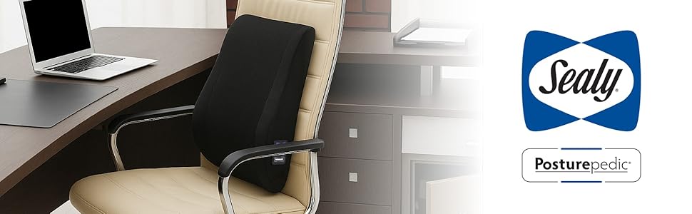 back support cushion lumbar pillow office chair support ergonomic posture pad memory foam support