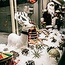 Navidad