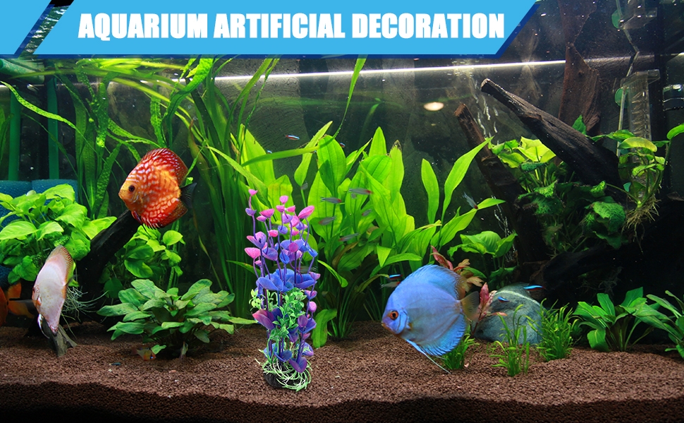 Standard Image Header With Text