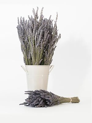  furnace freshner cinnamon fabreeze scents spheres honey clementine garden perfume aceite 