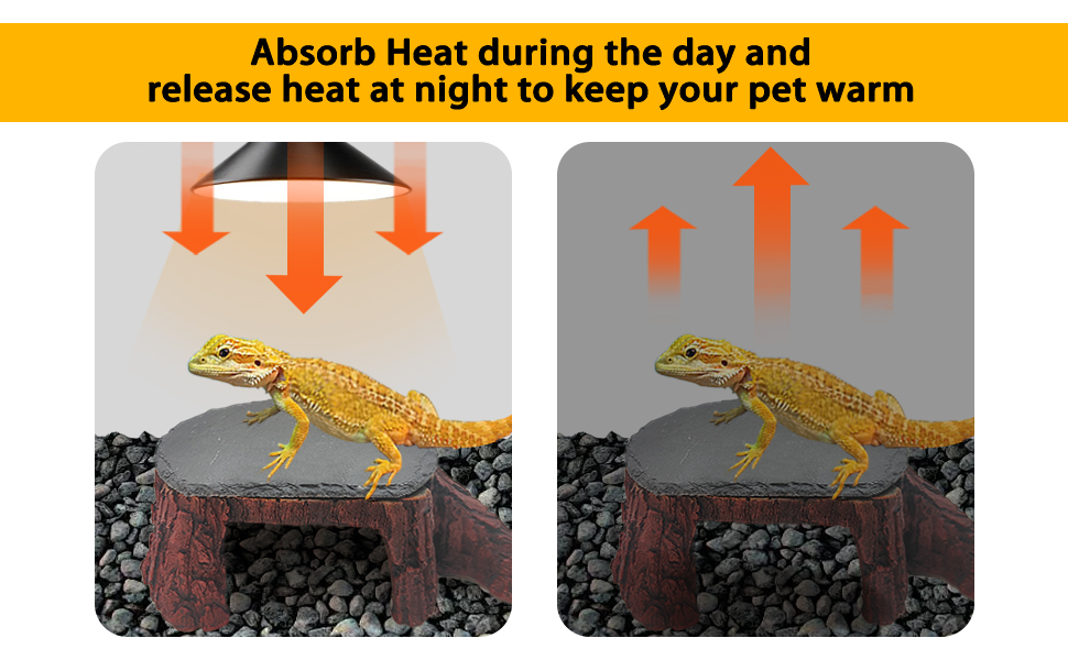 Breaded Dragon Reptile Basking Platfrom