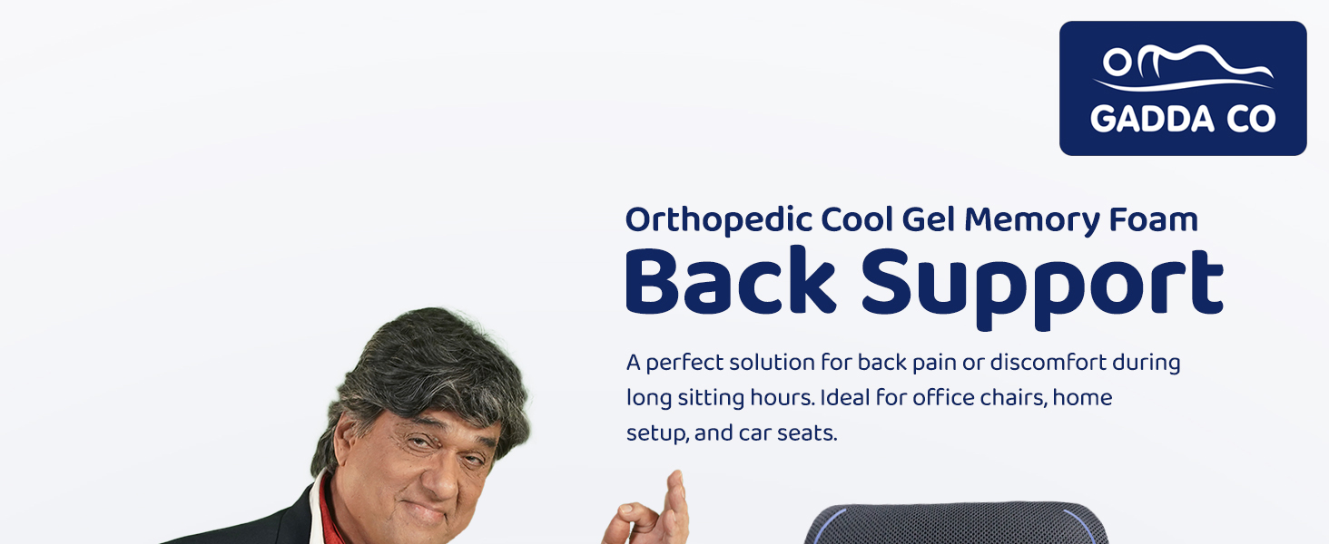 Back Support for Office Chair