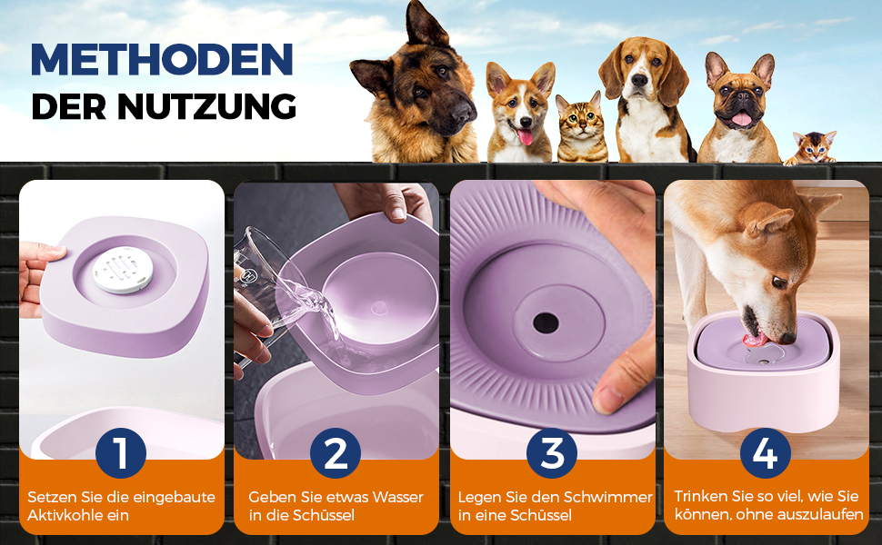 hunde napf