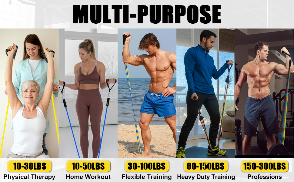 exercise bands with handles