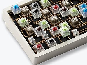 キングダム　48〜65 Amazon.com: Glacier Weikav NUT65, 65% Mechanical Keyboard