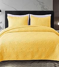 Conjunto de Edredom de Microfibra