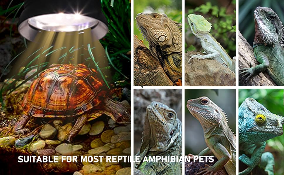 led light bulbs for reptile