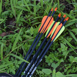 Carbon Arrow 