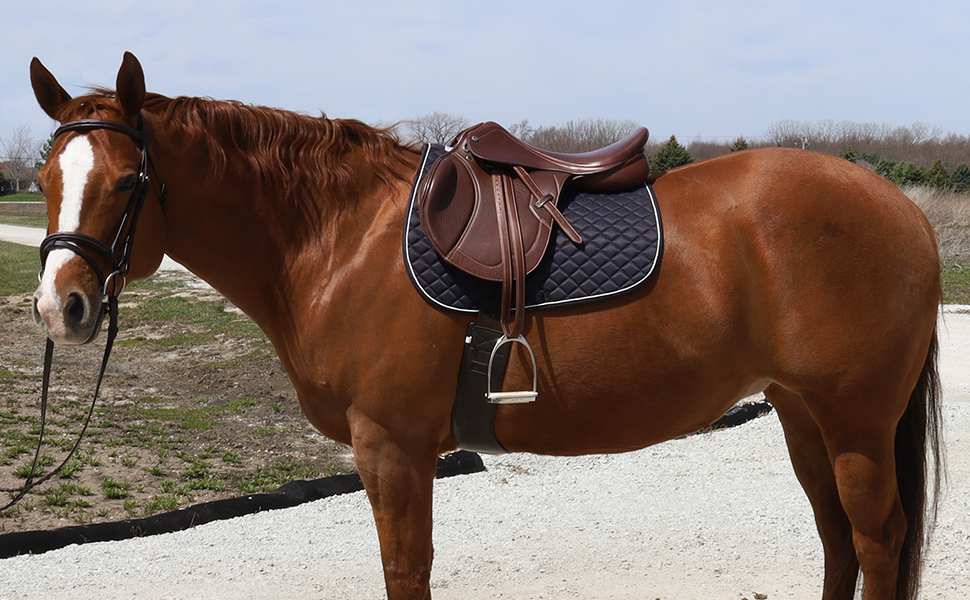 Profile image of a horse wearing a saddle and the diamond quilted saddle pad with piping