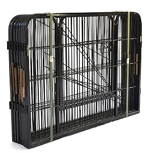 dog fence