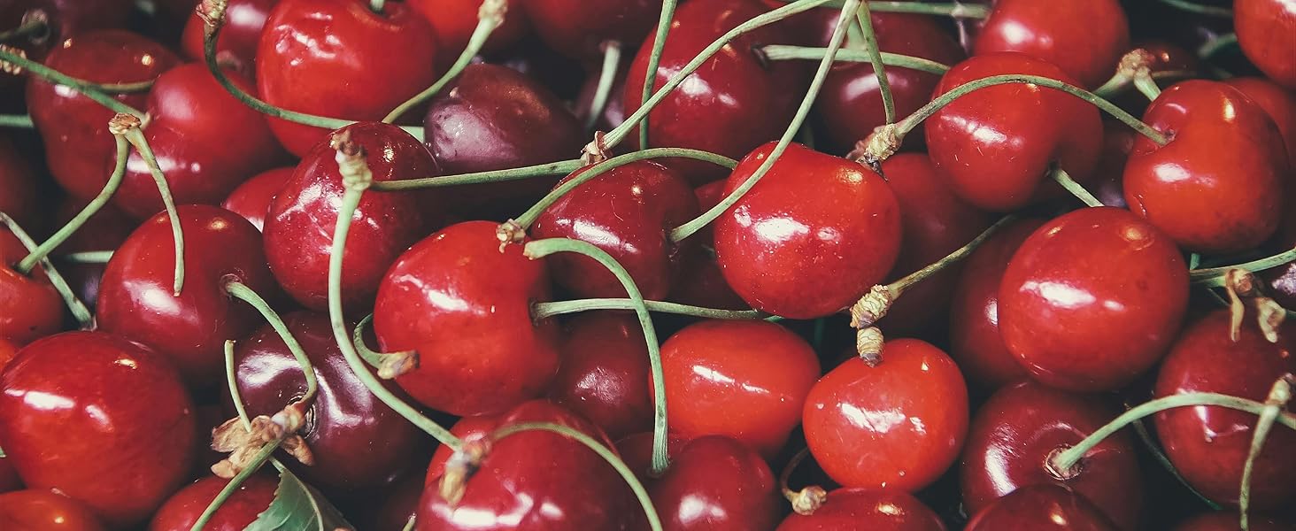 Tart Cherry Extract