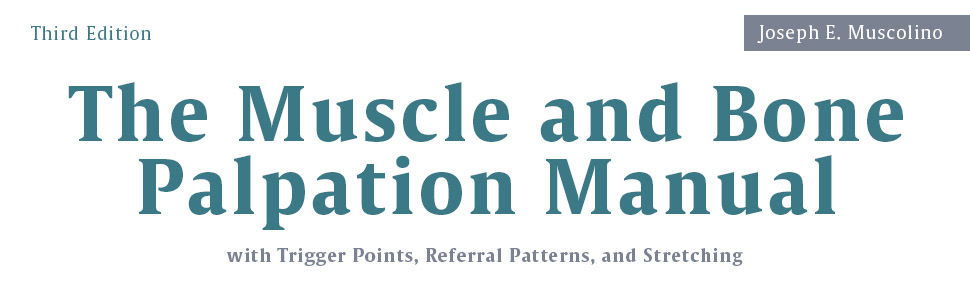 Muscle and Bone Palpation Manual 