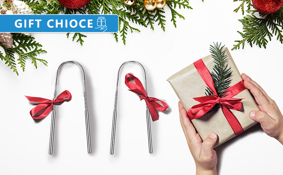 Artcut Tongue Scraper, 2 Pack Stainless Steel Tongue Scrapers for