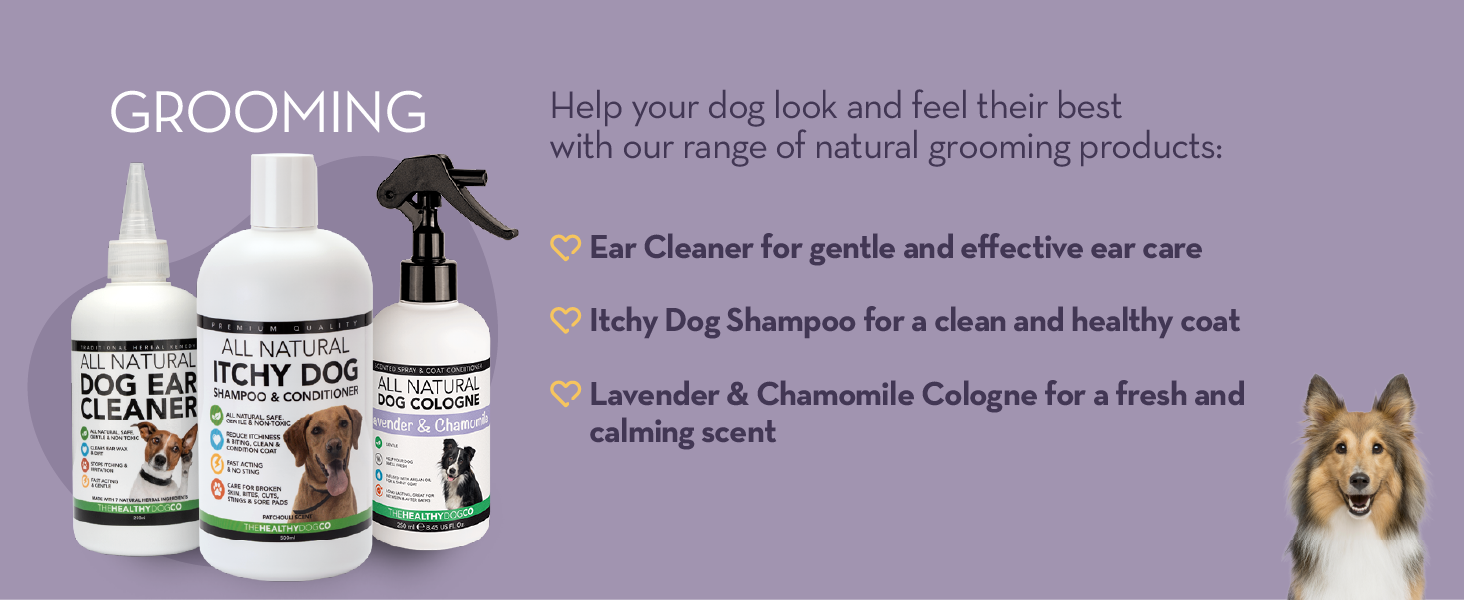 The Healthy Dog Co Anti Chew Spray for Dogs Dog Spray Deterrent