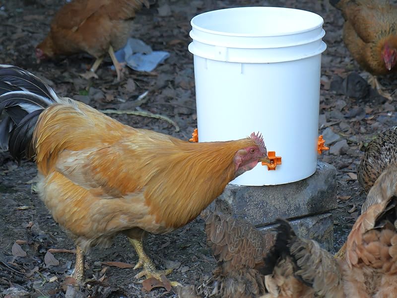 Whimsii Chicken Waterer Nipples, Pack of 15 (Orange), Horizontal Side