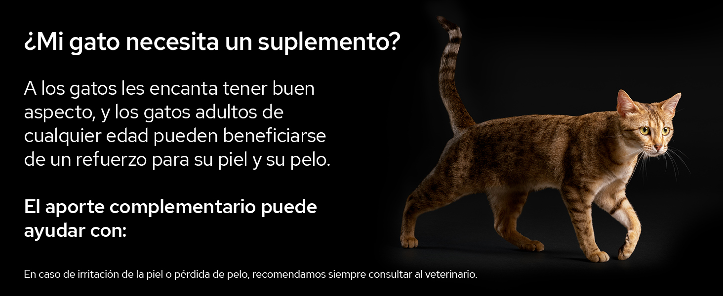 +suplementos para mascotas +alimento complementario +perro +gato