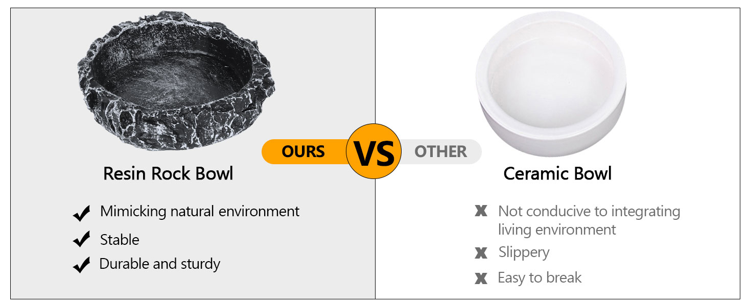 Reptile Corner Bowl ﻿