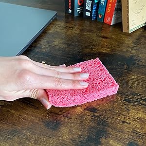 Polvo de limpieza con esponjas emergentes Eplanita