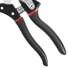 Secateurs