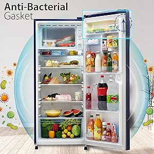 Anti Bacterial