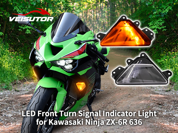 Amazon.com: VEISUTOR LED Front Turn Signal Indicator Light