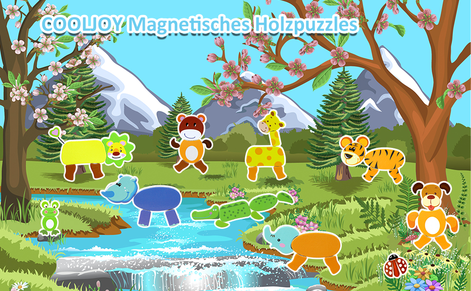 Cooljoy Magnetic Wooden Puzzles