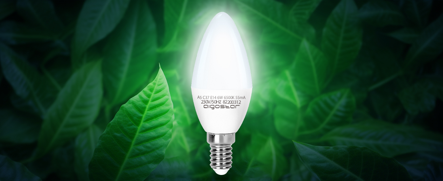 LED E14 Lampe 6W Glühbirne, Kerzenform, 510 Lumen, 6500K Kaltweiß