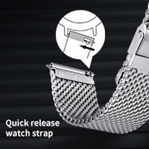 Quick release watch strap