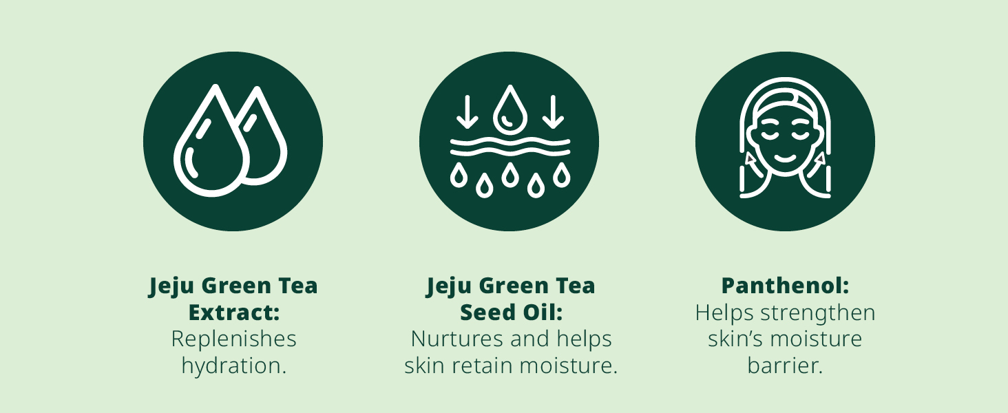 innisfree Green Tea Seed Intensive Hydrating Eye Roll-on 2
