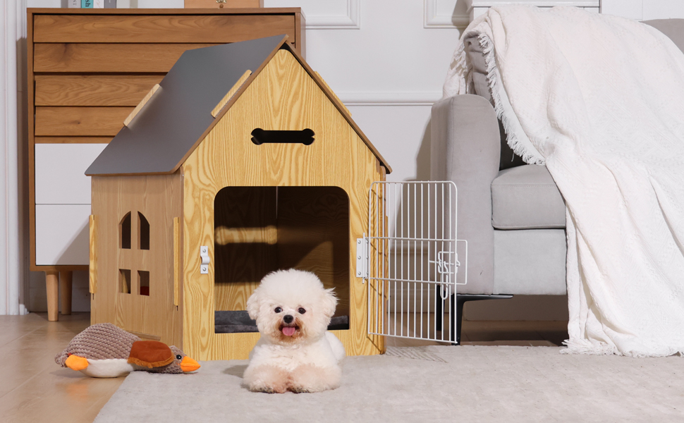 dog indoor house