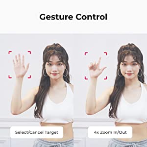 Gesture Control