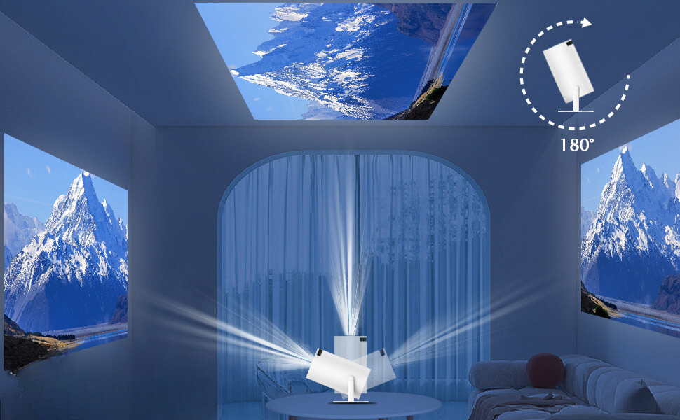 Projector