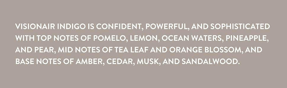 Visionair Indigo Notes