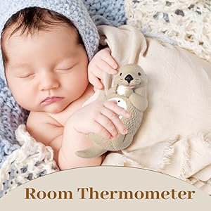 Room thermometer
