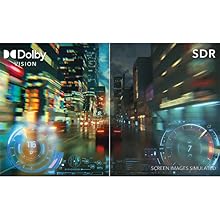 Dolby Vision for gaming. Supported.